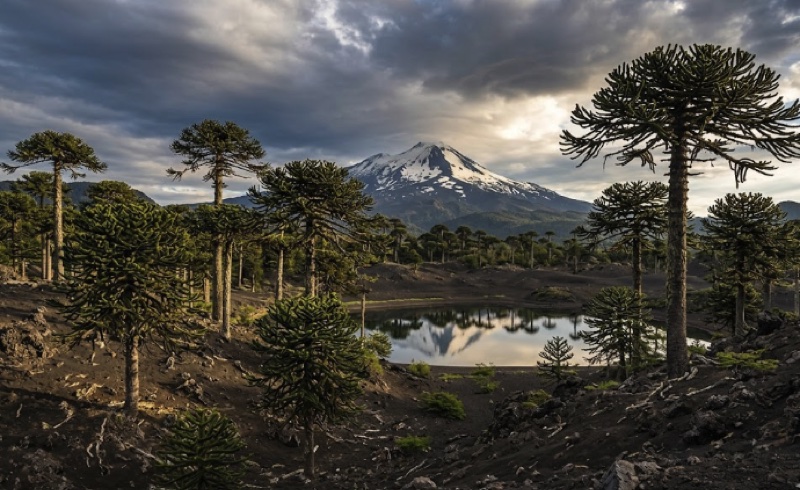 Parque Nacional Conguillío